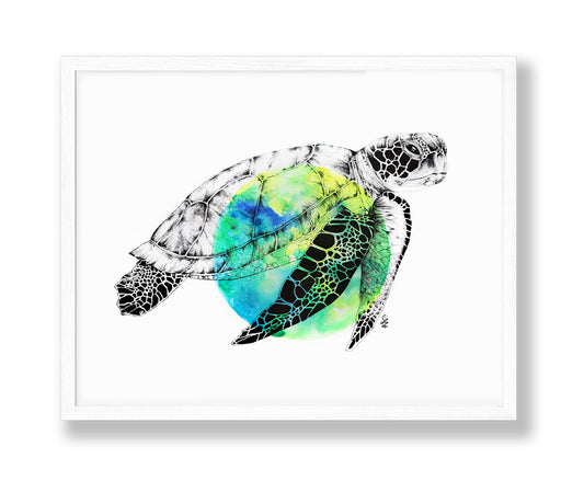 Sea Turtle over Water